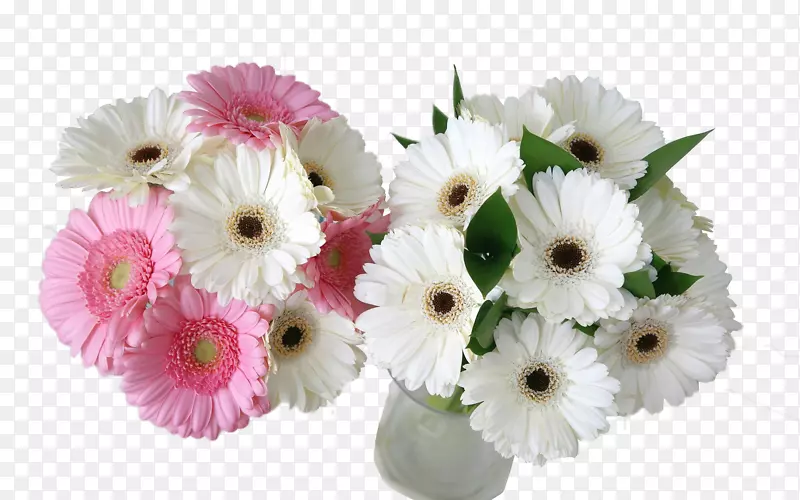 特兰士瓦雏菊花束桌面壁纸桌面环境-花朵