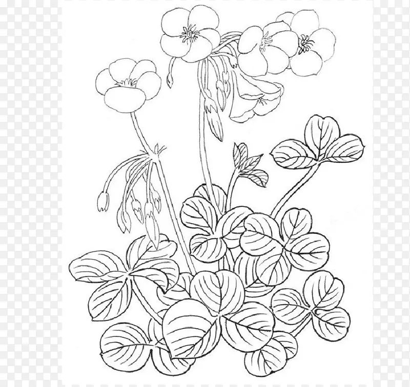 花卉设计绘画艺术/m/02csf-绘画技术