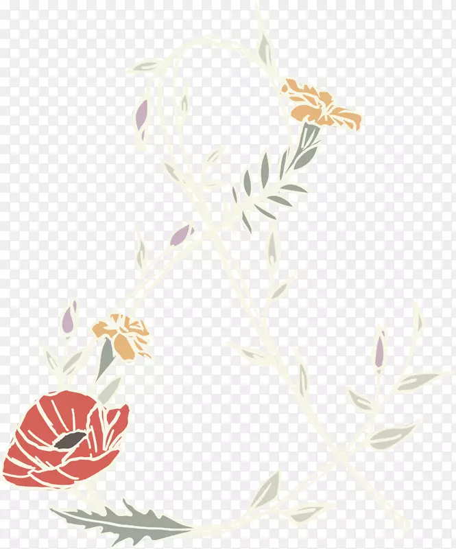 花卉设计插图叶植物茎-万寿菊幼苗显示七月