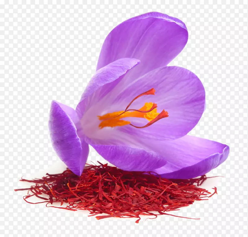 藏红花秋季番红花原料摄影免费食品藏红花织物定义