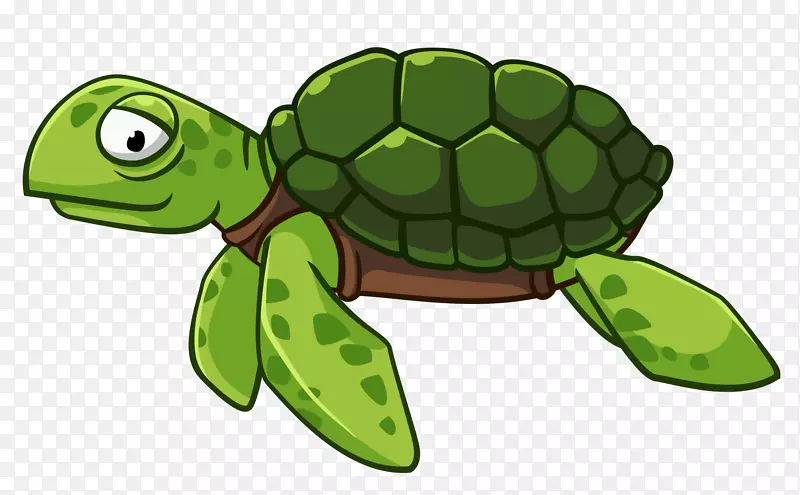 绿海龟图形剪辑艺术-海龟