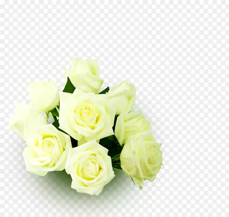 婚礼邀请函花束剪贴画玫瑰花形象-花饰