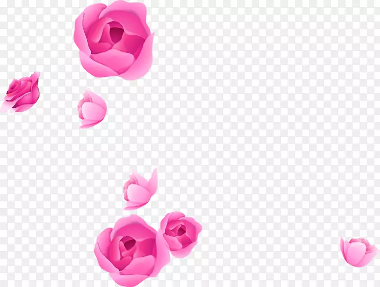 手持式网络图形玫瑰夹艺术图片adobe Photoshop-花卉边框