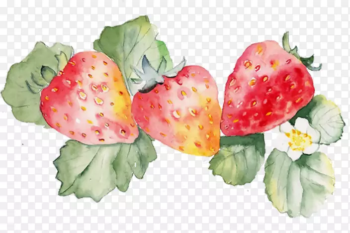 水彩画设计图像艺术图形草莓植物