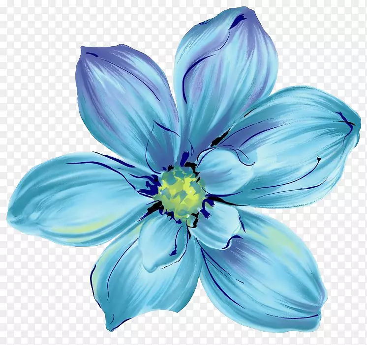 蓝花卉设计花瓣-宇宙花