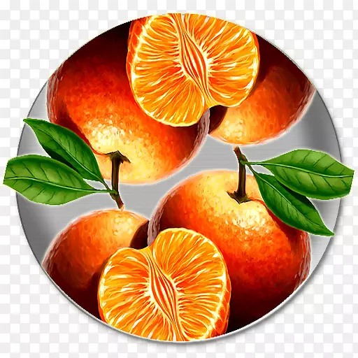 柑桔血橙柚子苦橙考试