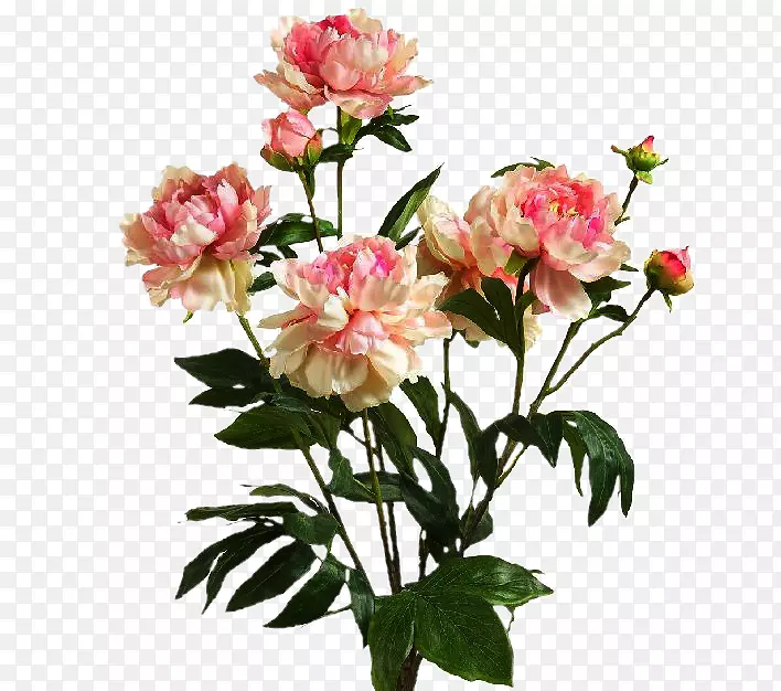 花园玫瑰粉红色插花-绣球花