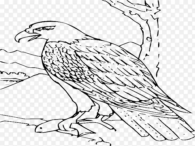 秃鹰着色书绘图-野生动物轨迹