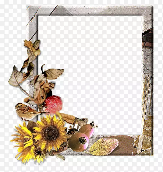 窗框花卉设计花卉摄影.画框