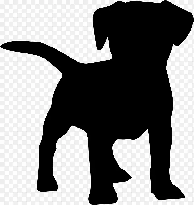 小狗帕格，拳击手，拉布拉多猎犬，多伯曼-小狗