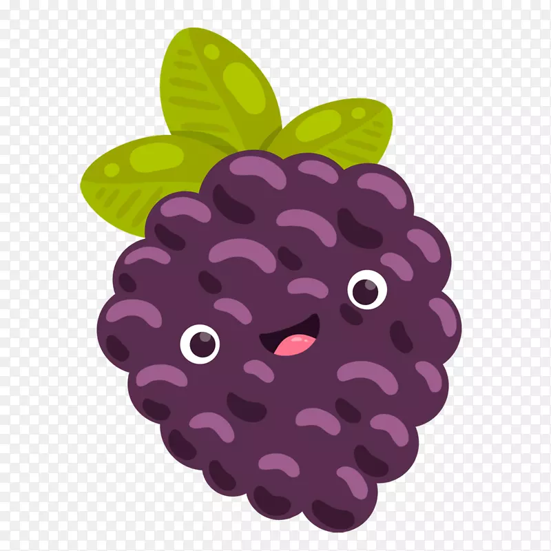 葡萄图像水果png图片浆果.紫色葡萄