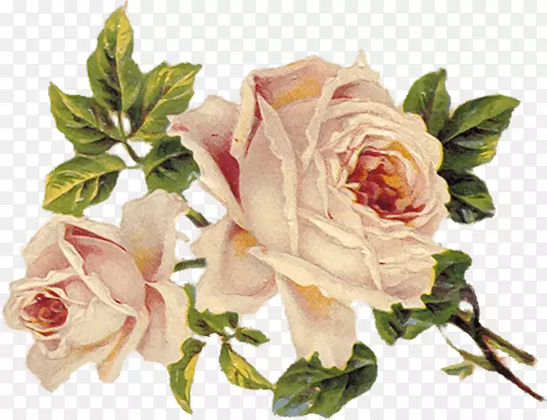 牡丹花卉图案玫瑰花旧式服装-花卷轴