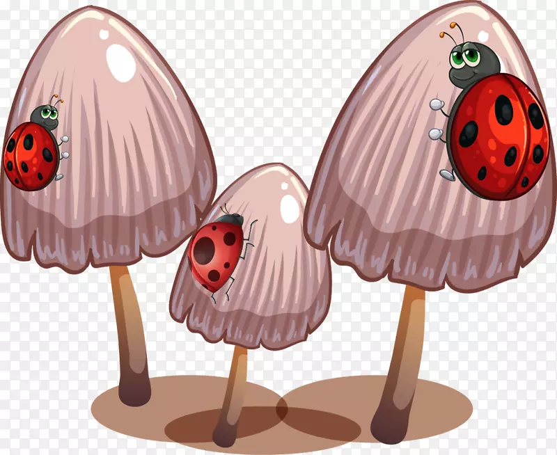 蘑菇图形图像插图食物肚子