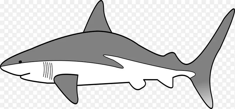 安魂曲鲨鱼剪贴画灰礁鲨鱼威胁展示-鲨鱼