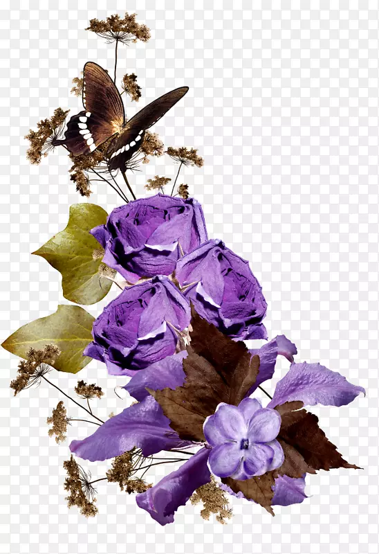 边框，剪贴画，png图片，图像.花