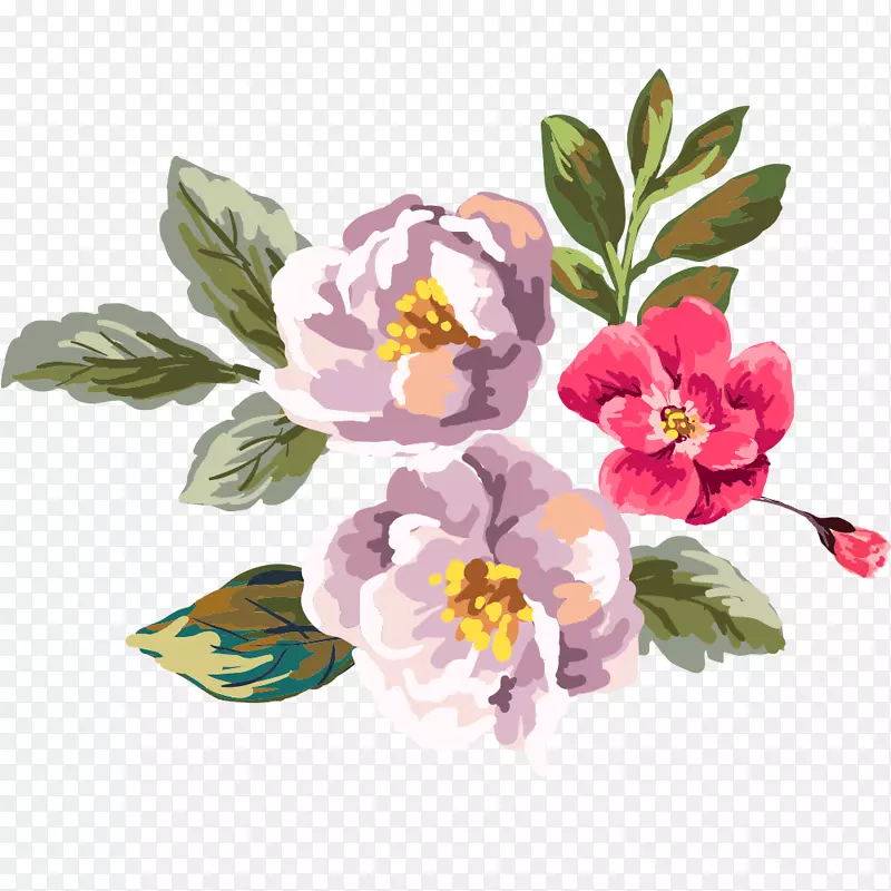 水彩画水彩：花卉设计素描