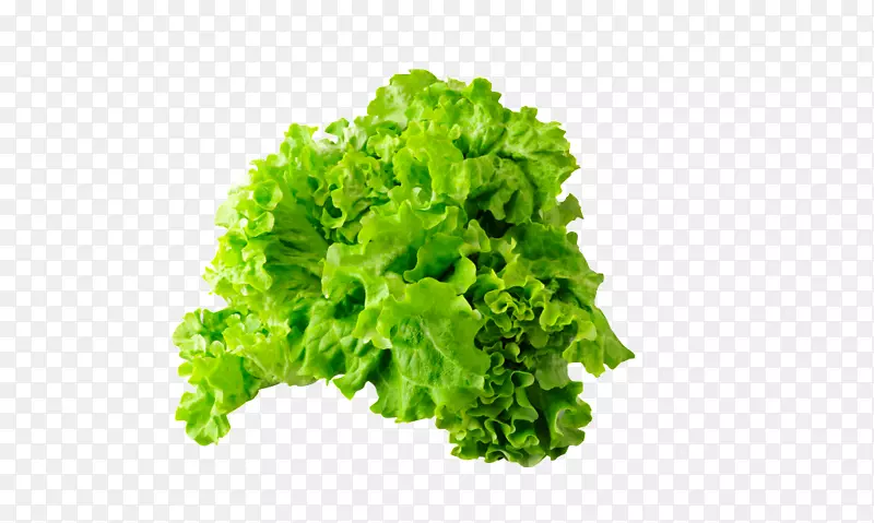蔬菜png图片蔬菜食品图像.绿色生菜