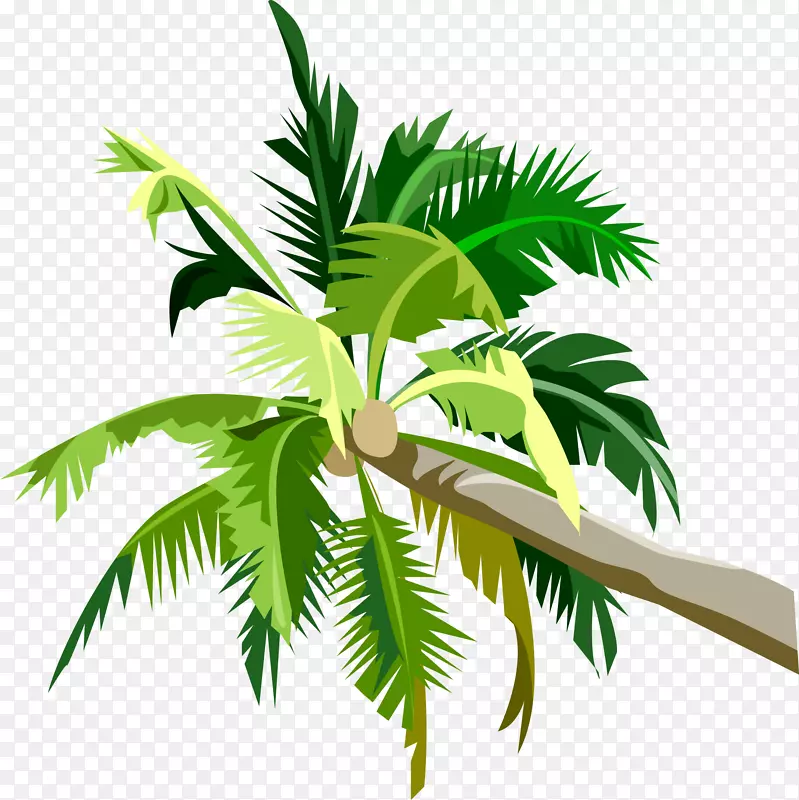 棕榈树，png图片，剪贴画，桌面壁纸，图像
