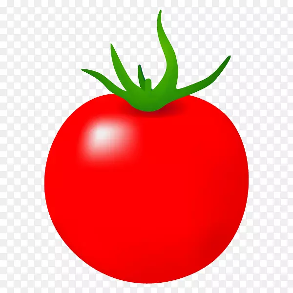 李子番茄灌木番茄蔬菜图解