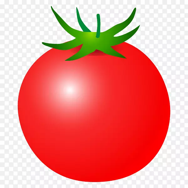 李子番茄灌木丛番茄食品