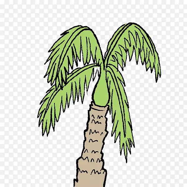 椰子树，岛屿，热带