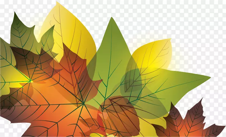 秋叶设计图形插图-树叶
