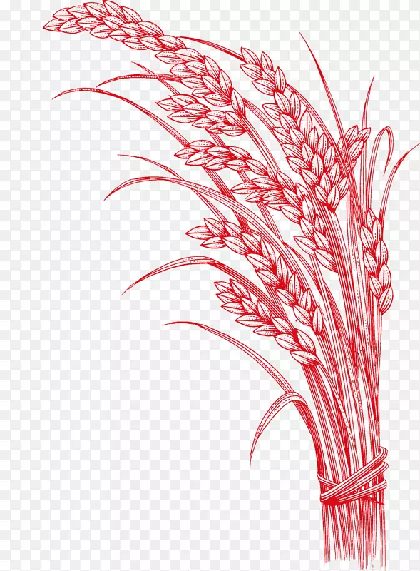 稻谷五谷png图片-碾磨小麦