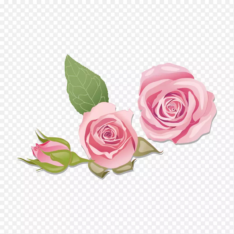 图形png图片玫瑰图像插图