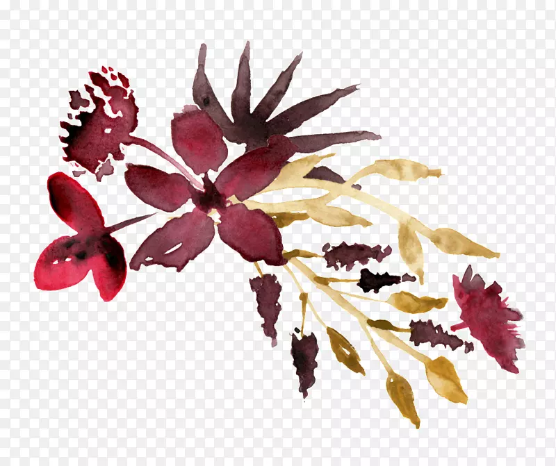 水彩画水彩：花卉png图片图像.紫红色花