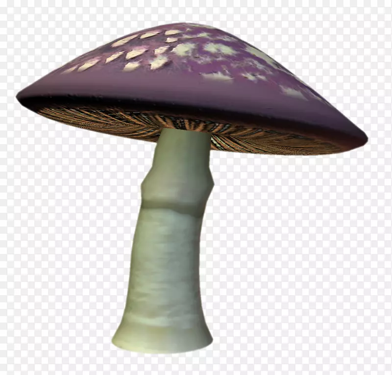 存放文件夹艺术png图片真菌产品设计.圆点蘑菇