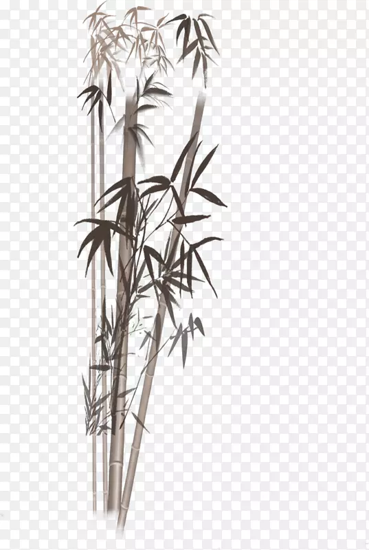 水墨画墨水棒竹子图像-竹子植物