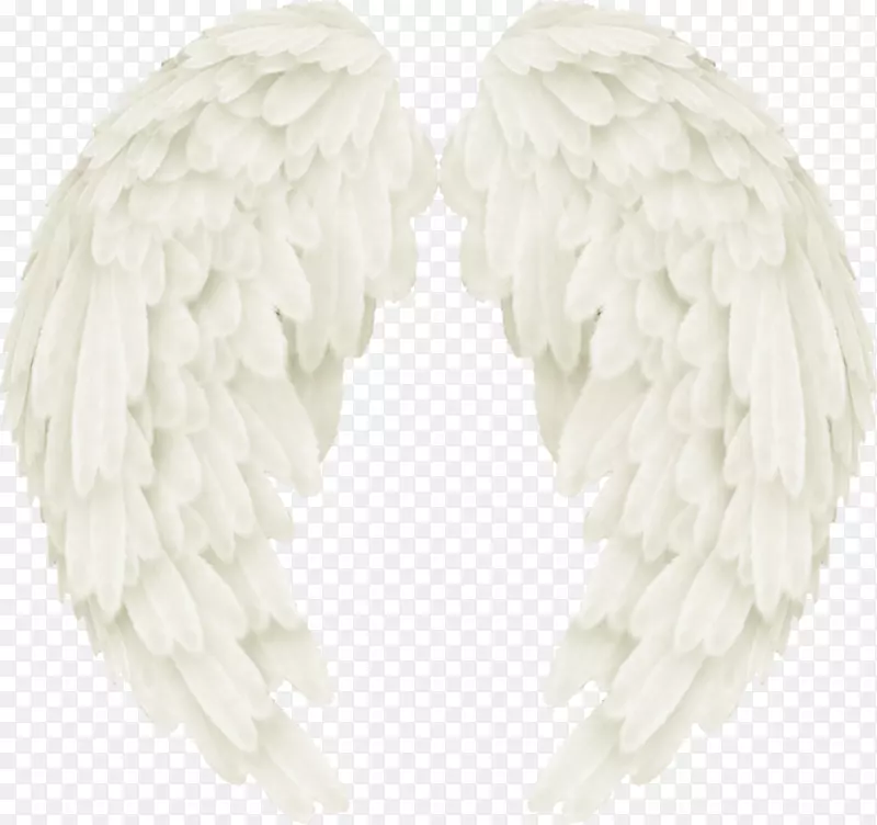 图像png图片白色中心博客图形.翅膀天使