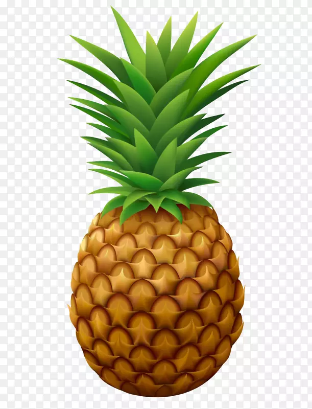 素食菠萝夏威夷比萨汁png图片-菠萝