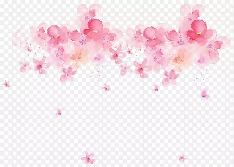水彩画：花卉设计水彩画png图片.暗粉色