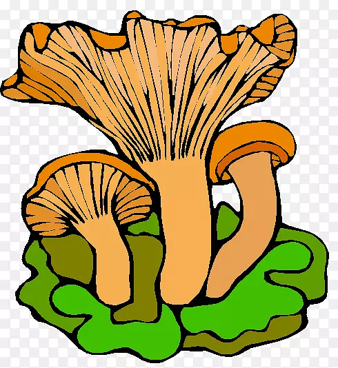 木耳蘑菇动画-蘑菇