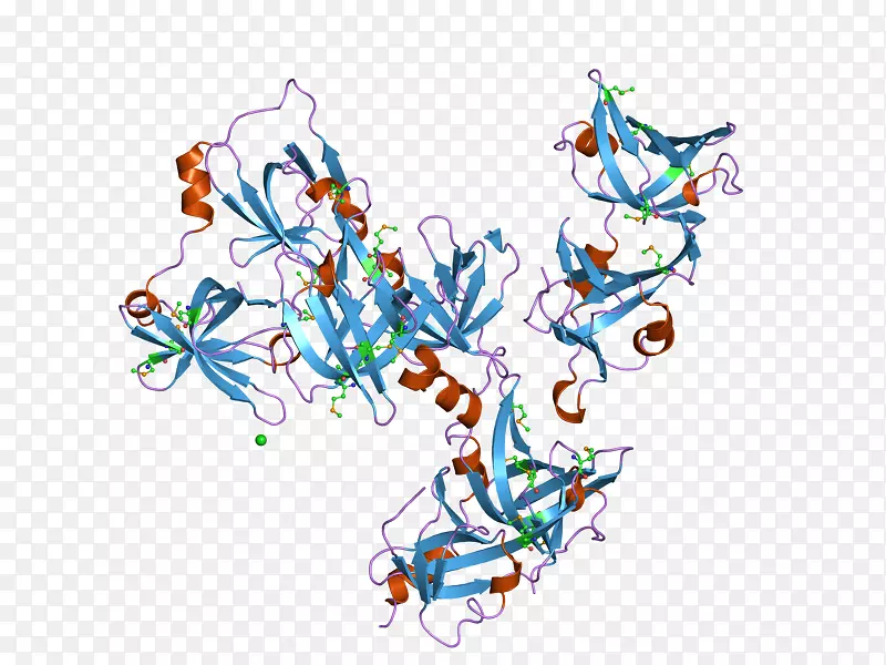 干扰素IFI 16蛋白质数据库结构分类