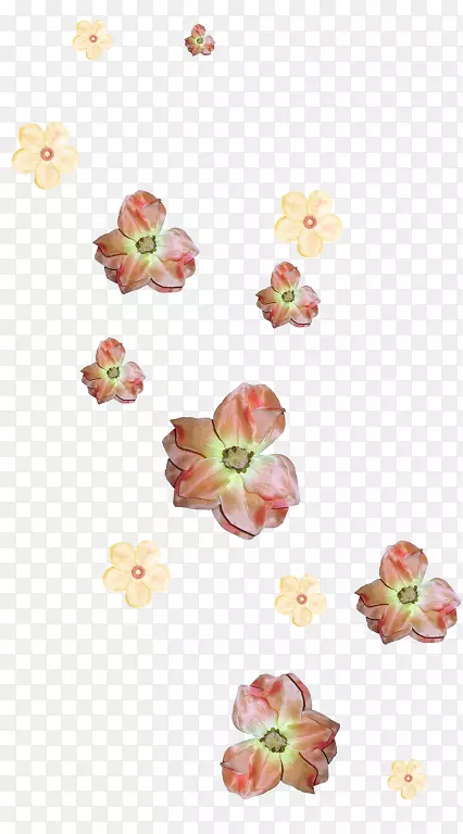 花卉png图片博客设计剪贴画-漂亮的花
