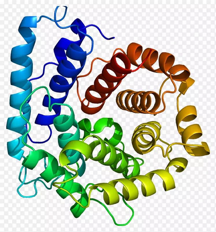 补体组分3补体系统蛋白c3-转化酶c3a
