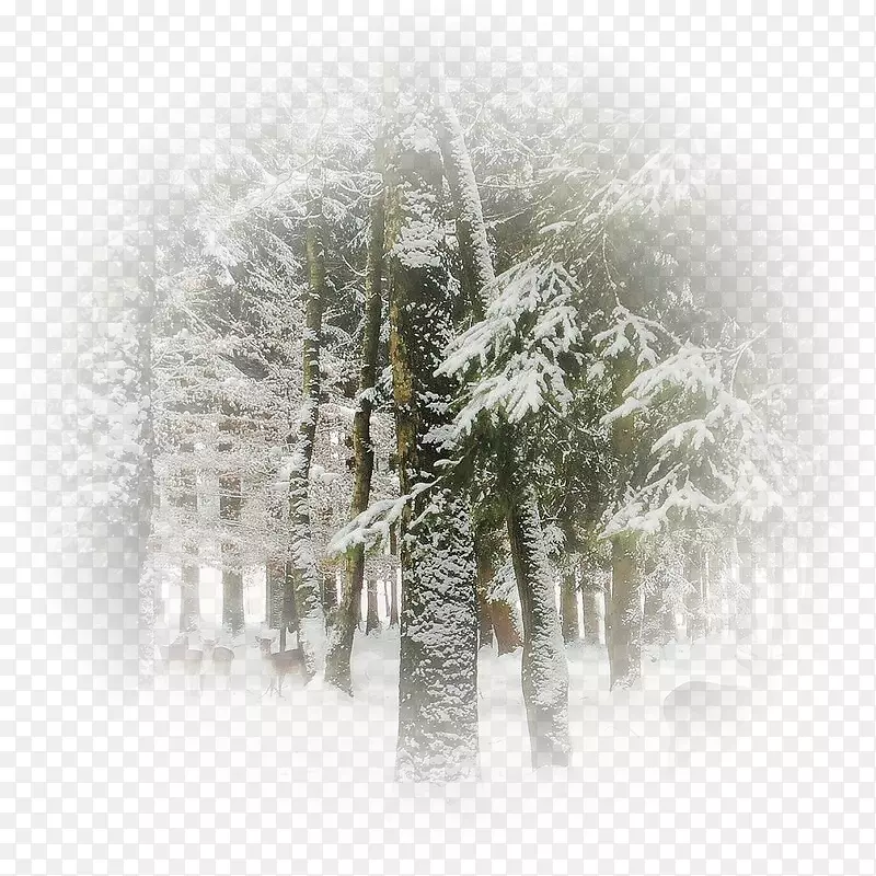 png图片图像季节冬季暴风雪