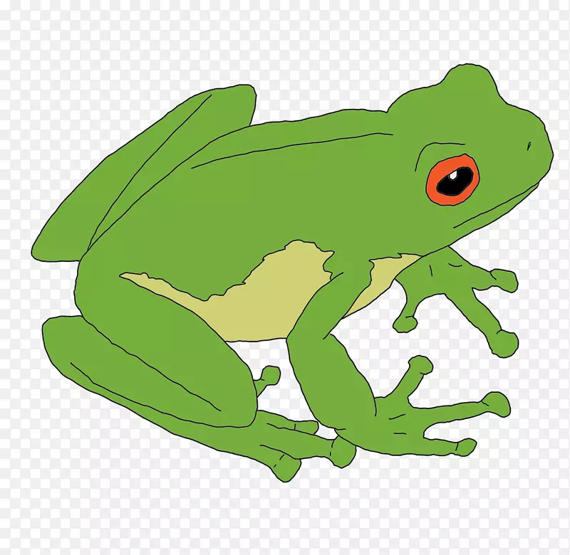 真蛙蟾蜍剪贴画-青蛙