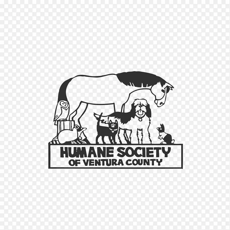 布特县，加州洛杉矶县，加州乙烯基活牛人道协会-文图拉县-人文社会字体
