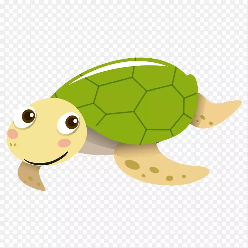 海龟png图片图形.可爱的乌龟