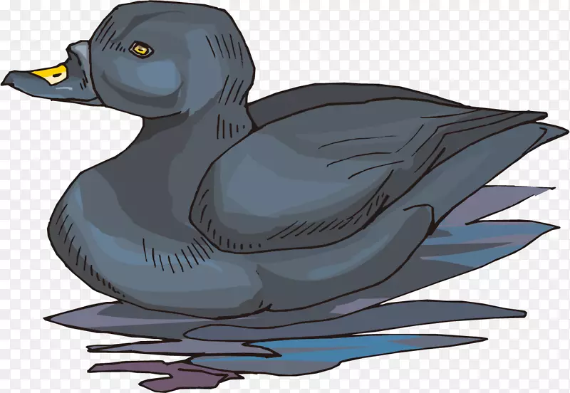 野鸭png图片土坯Photoshop设计-勇敢的鸟