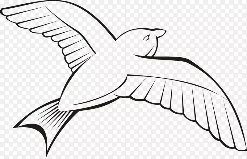 鸟类飞行剪辑艺术鹭、鸽子和鸽子-鸟