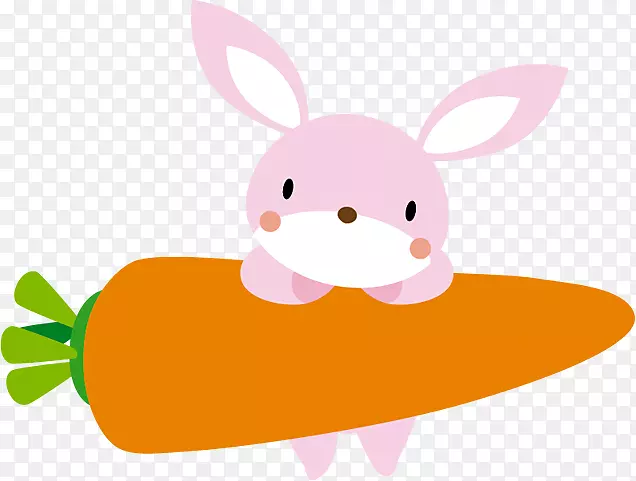 国内兔子剪贴画插画兔子Naver博客