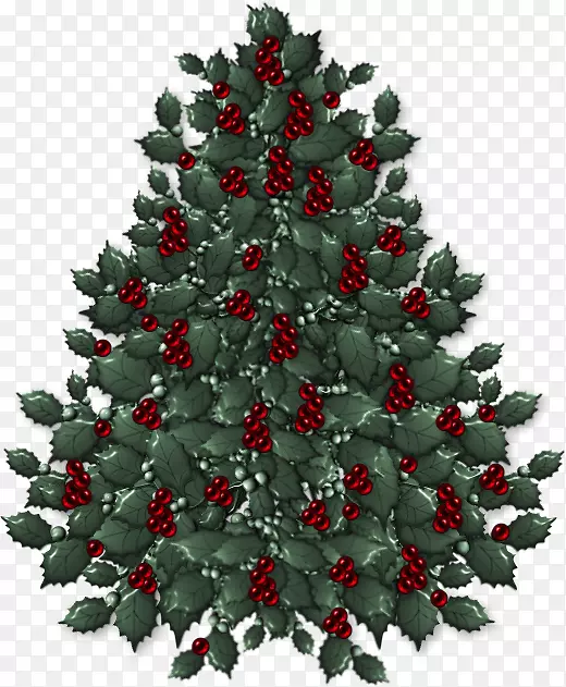 圣诞树、新年树、圣诞日、圣诞装饰品-昆士树花