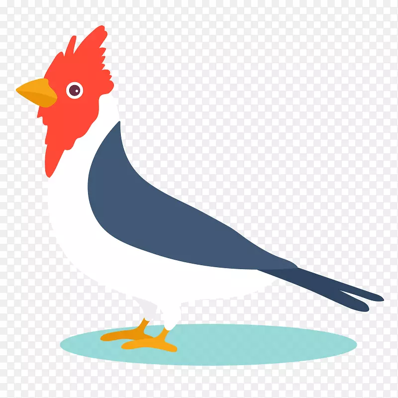 鸟类鹦鹉-图形设计-简单鸟类