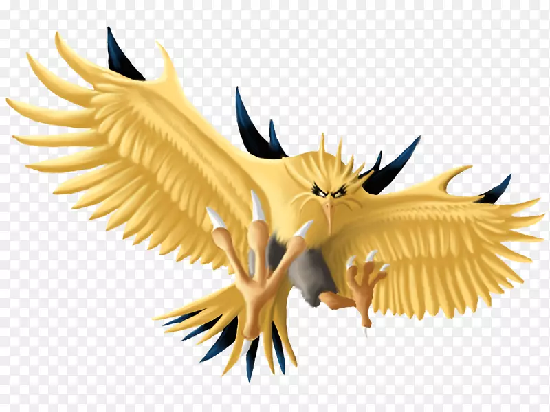 Zapdos BRock moltres Articuno-zapdos海报