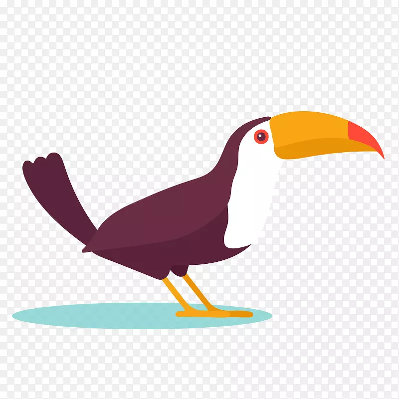 鸟类设计png图片鹦鹉绘图.简单鸟