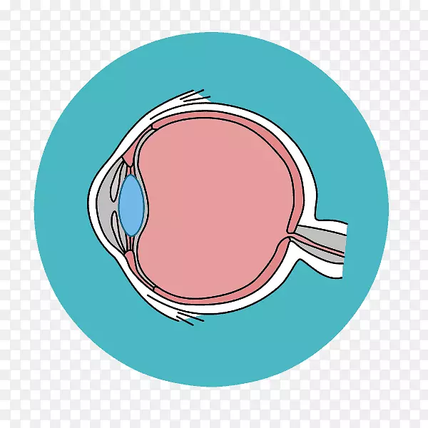 眼夹术视网膜视觉知觉青光眼.眼睛